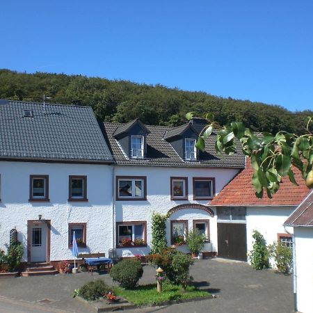 Ferienhof An Der Lay Kerpen  Exteriér fotografie
