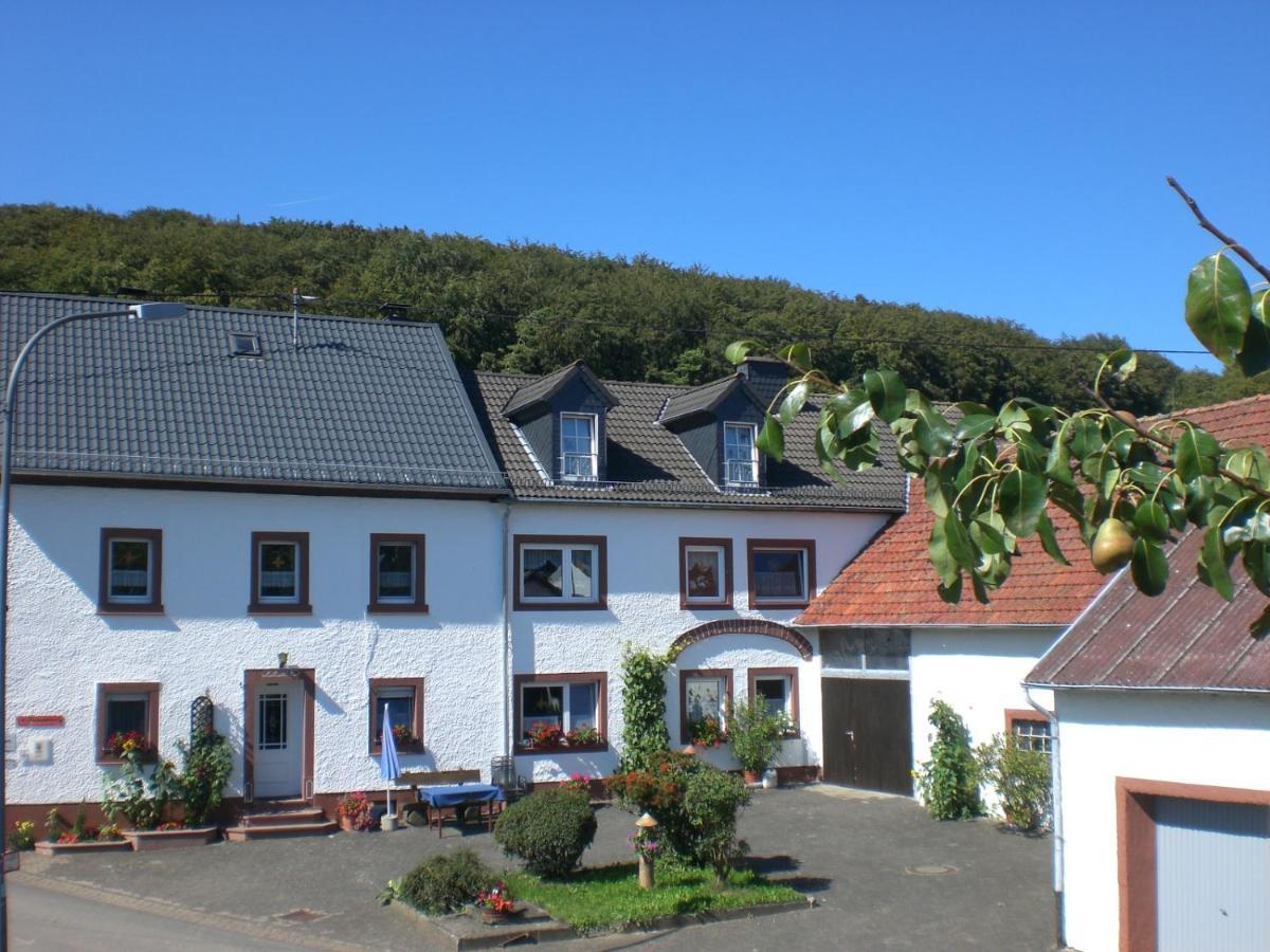Ferienhof An Der Lay Kerpen  Exteriér fotografie