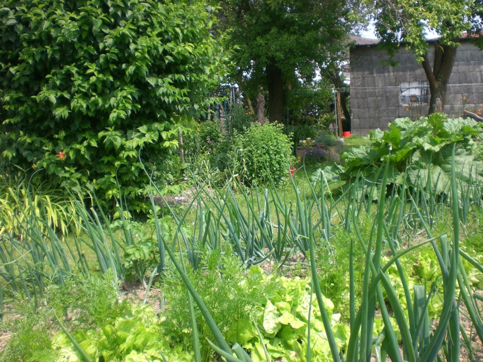 Ferienhof An Der Lay Kerpen  Exteriér fotografie