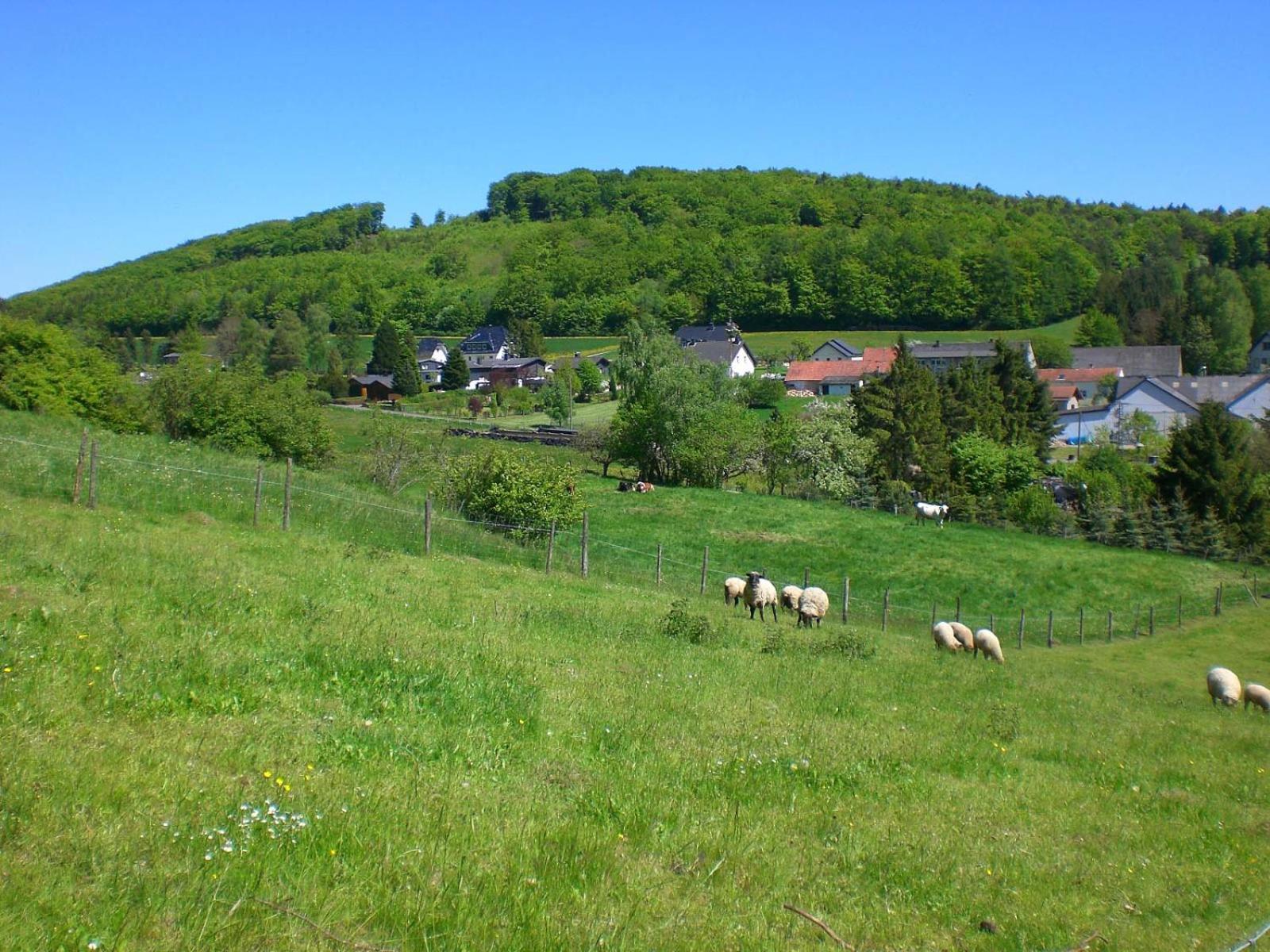 Ferienhof An Der Lay Kerpen  Exteriér fotografie