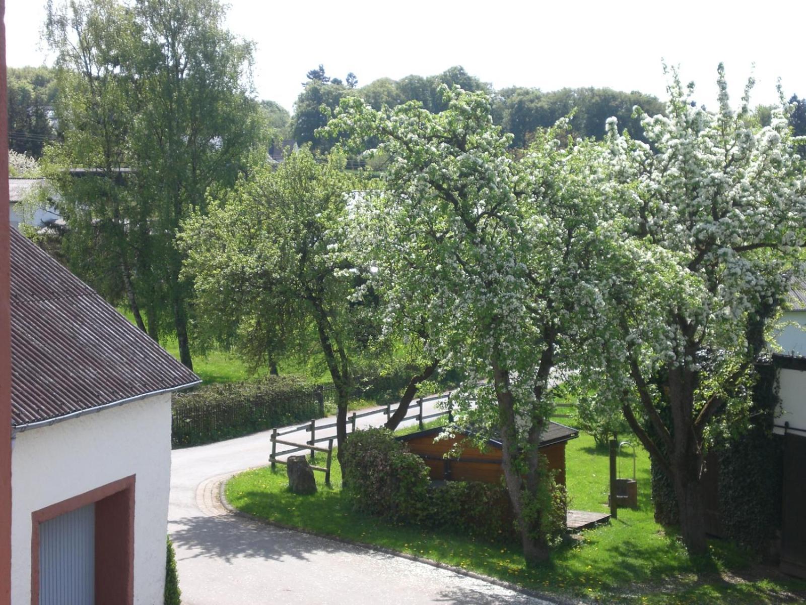 Ferienhof An Der Lay Kerpen  Exteriér fotografie