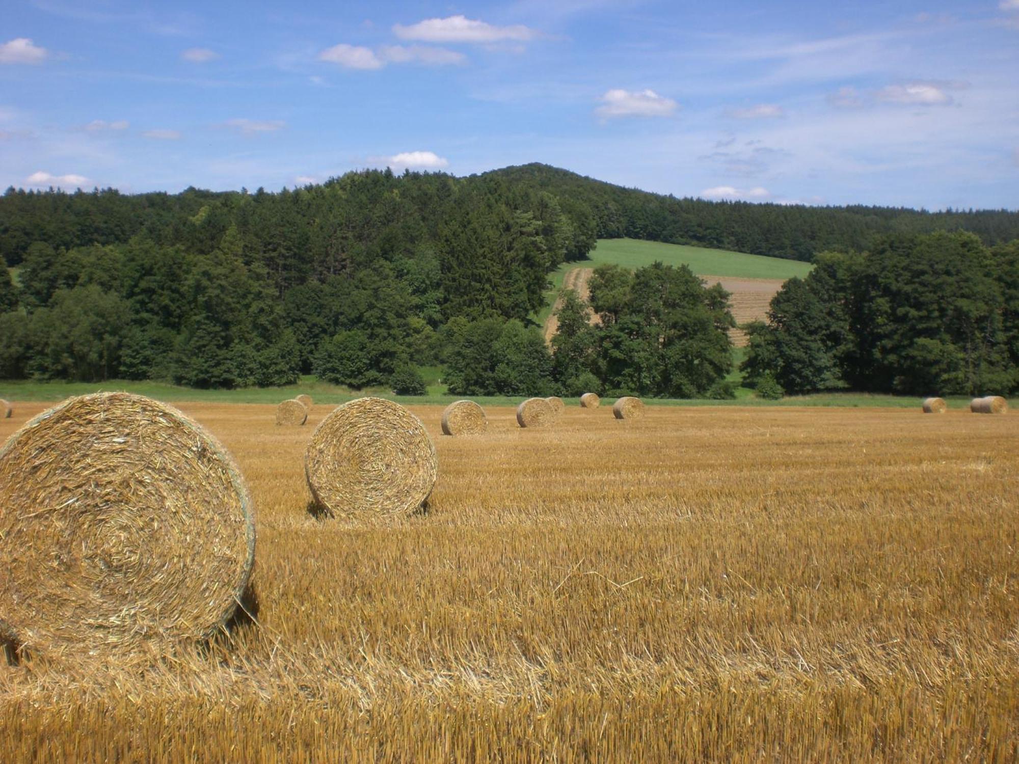 Ferienhof An Der Lay Kerpen  Exteriér fotografie