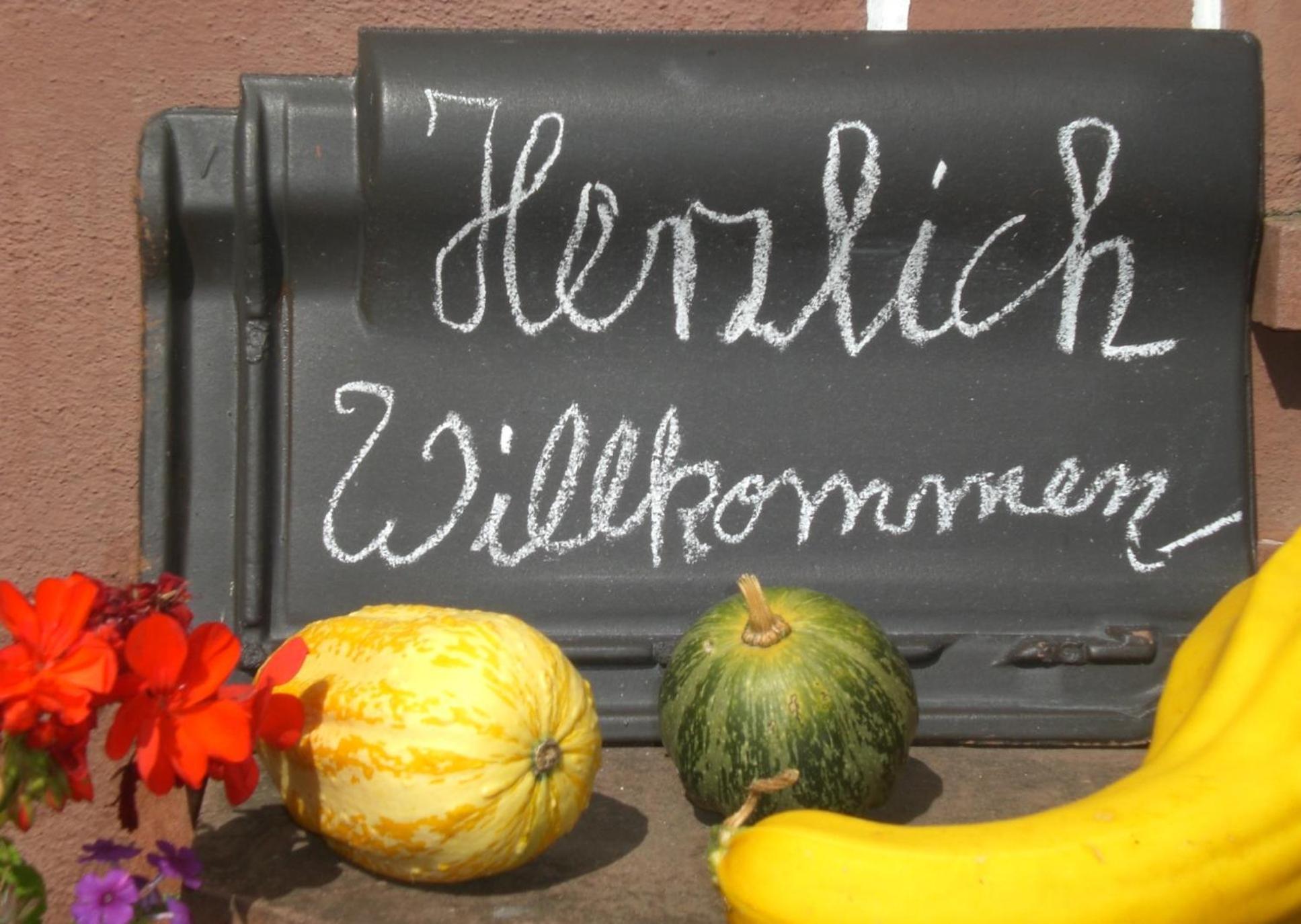 Ferienhof An Der Lay Kerpen  Exteriér fotografie