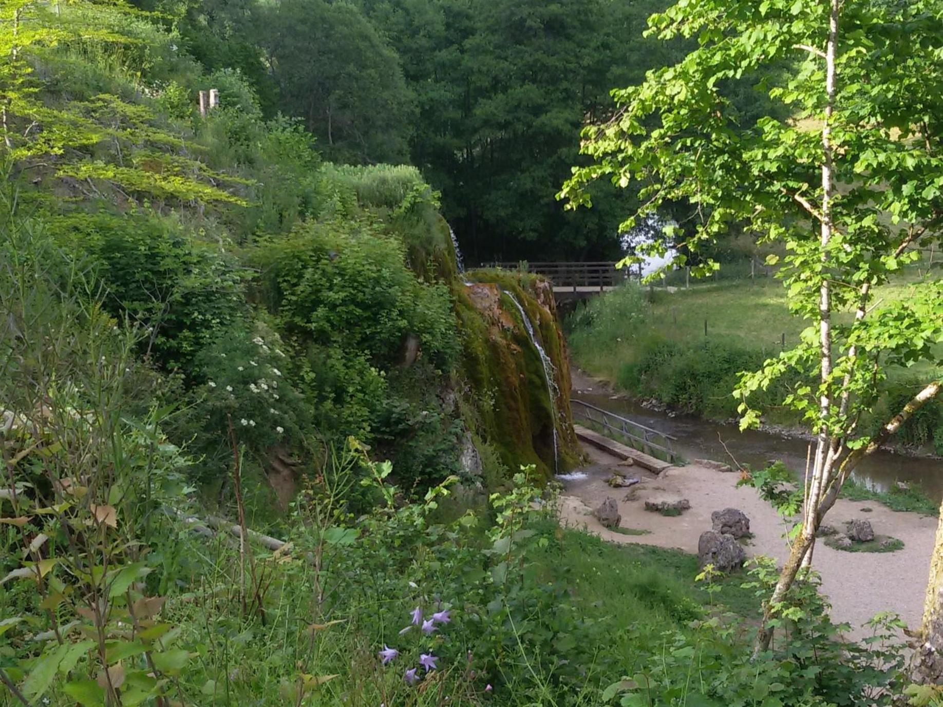 Ferienhof An Der Lay Kerpen  Exteriér fotografie