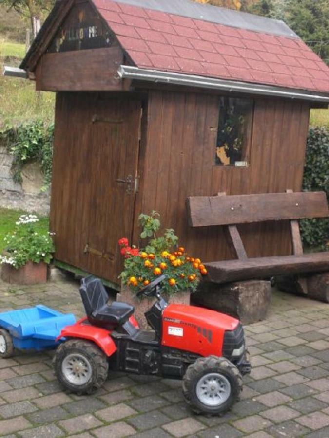 Ferienhof An Der Lay Kerpen  Exteriér fotografie